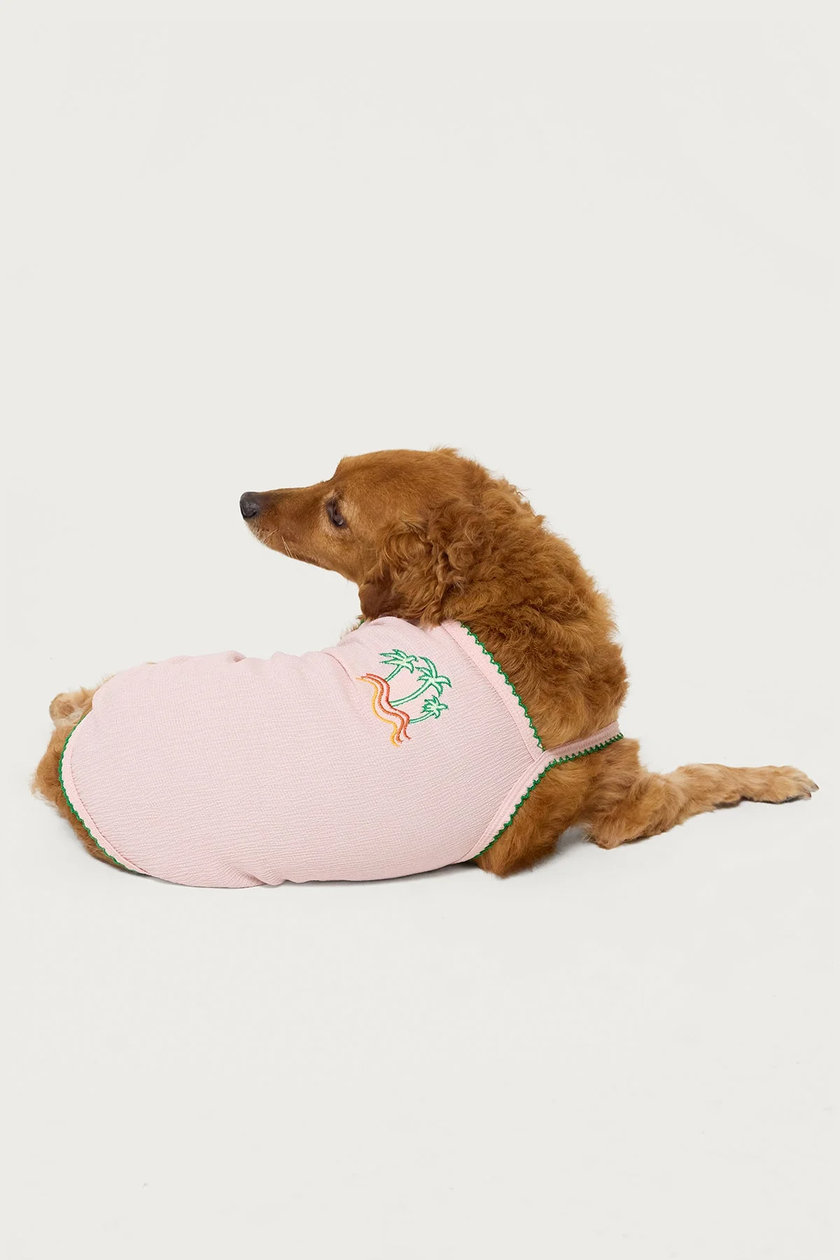 In The Tropics Pet Tank Top