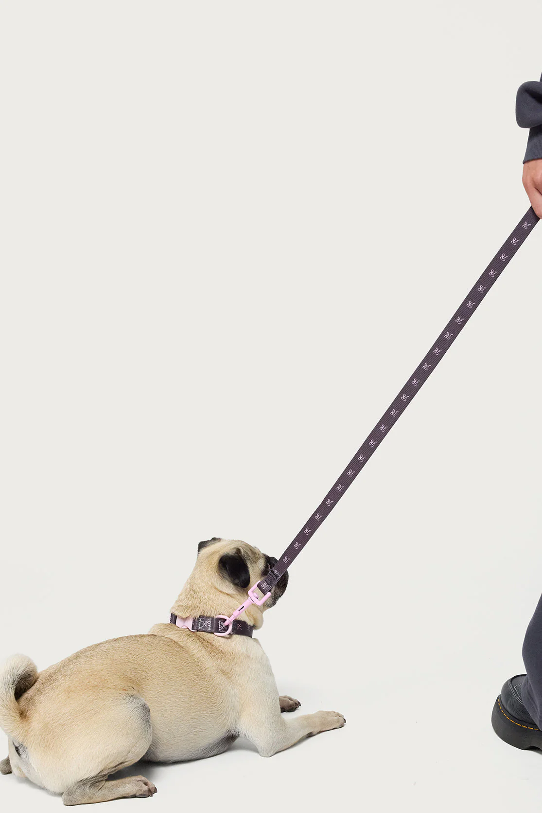 Bonney Bow Pet Leash - Image 2