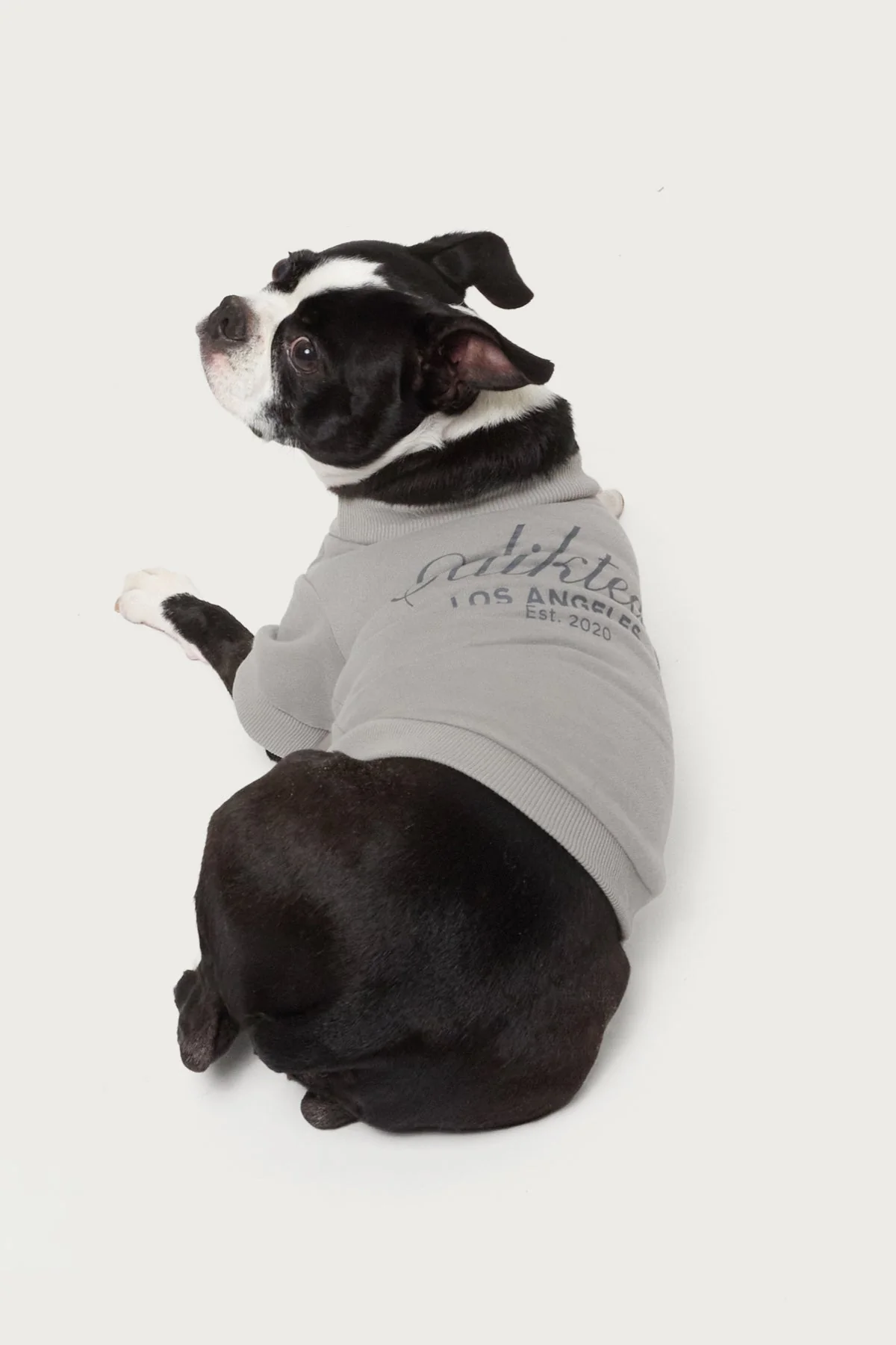 Get Edikted Pet Sweatshirt - Image 3